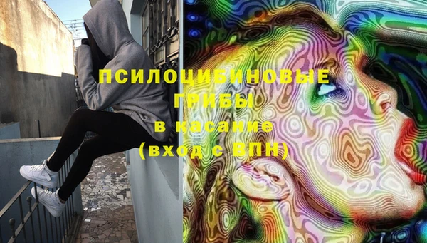spice Нягань