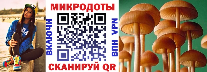 Псилоцибиновые грибы Magic Shrooms Кострома