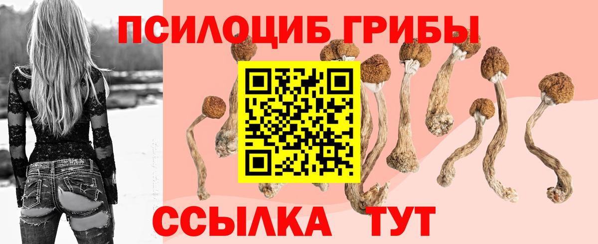 Галлюциногенные грибы Cubensis  Галлюциногенные грибы мицелий  Кострома  Вход с VPN 